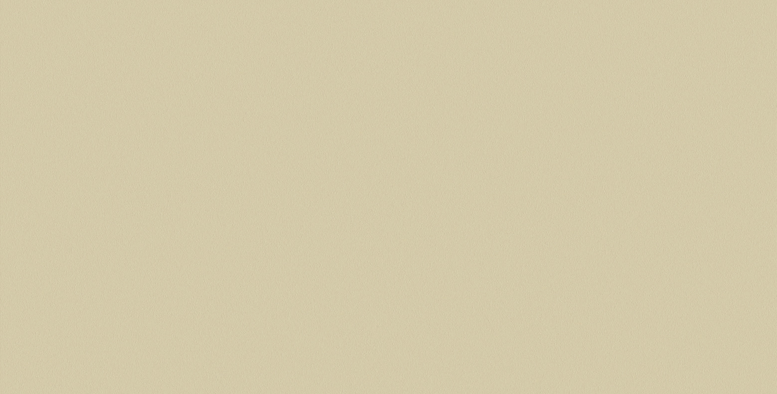 Newdeco COLOUR C-910 | mineralbeige Newdeco Farben-Frikell WTB