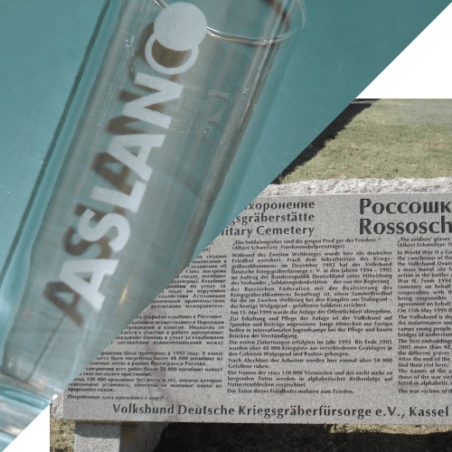 Sandblast 230 ASLAN S 66 ASLAN Farben-Frikell WTB