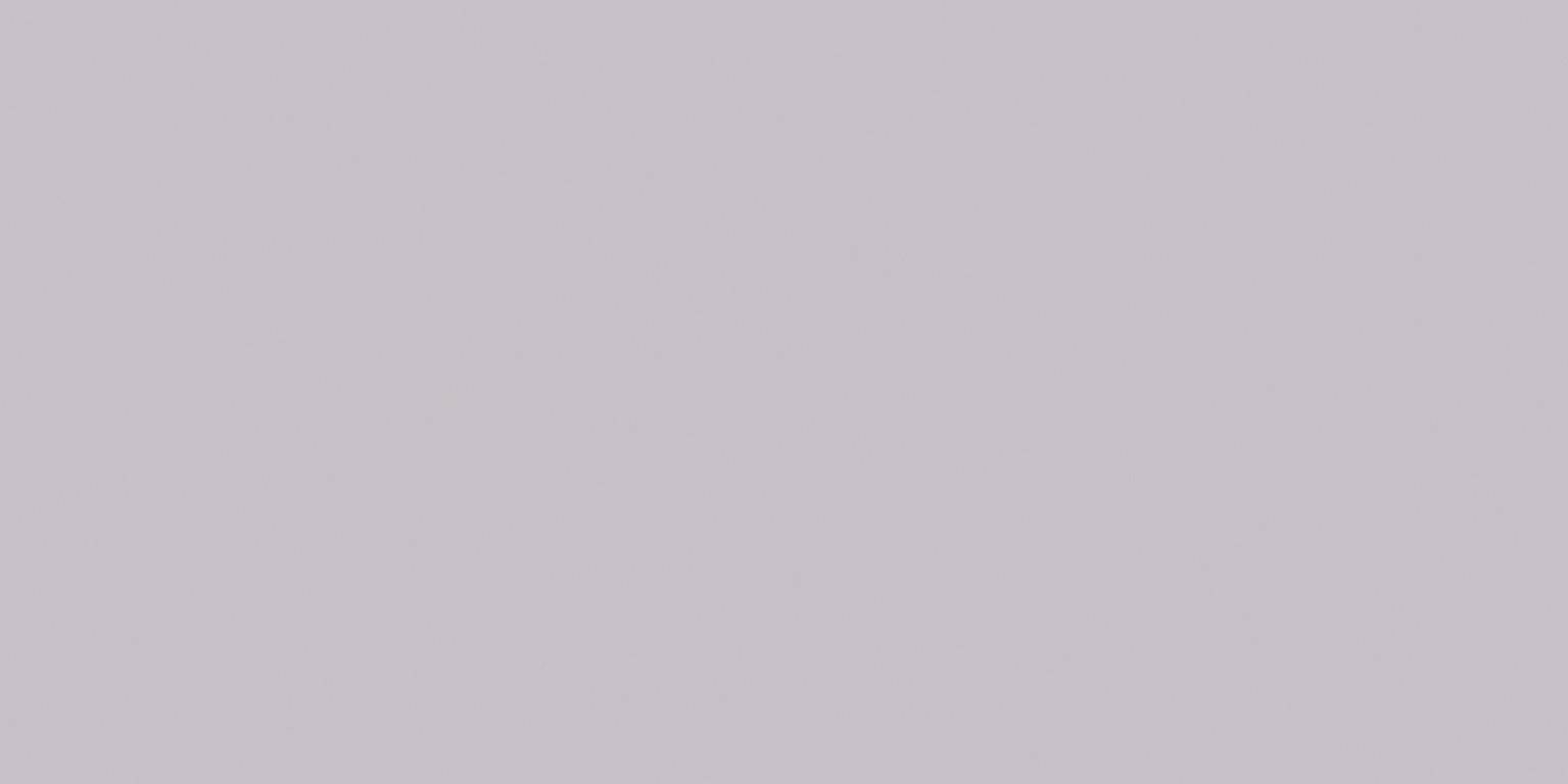 Newdeco MATT COLOUR MC-859 | hellgrau Newdeco Farben-Frikell WTB