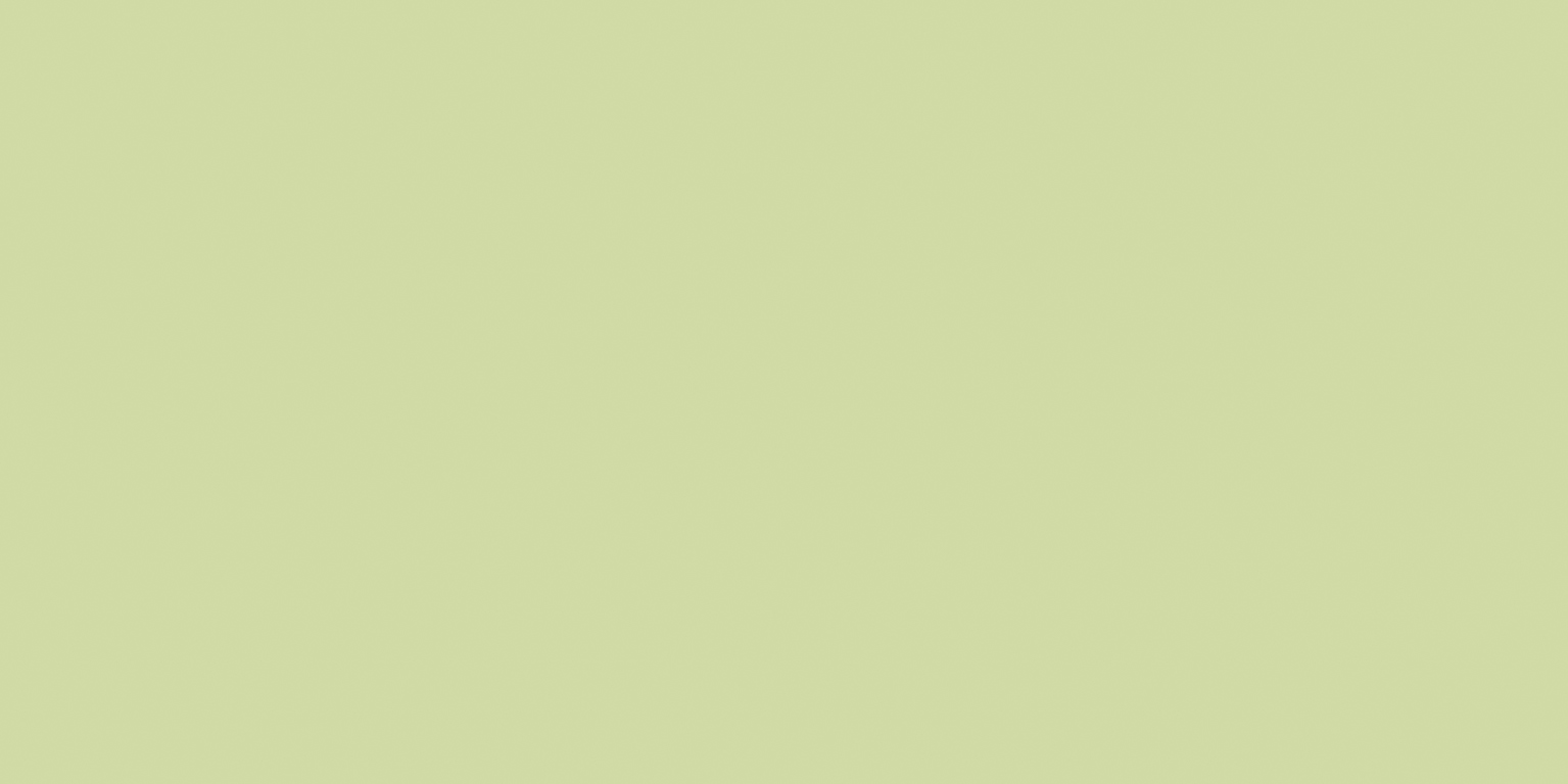 Newdeco MATT COLOUR MC-858 | pastellgrün Newdeco Farben-Frikell WTB