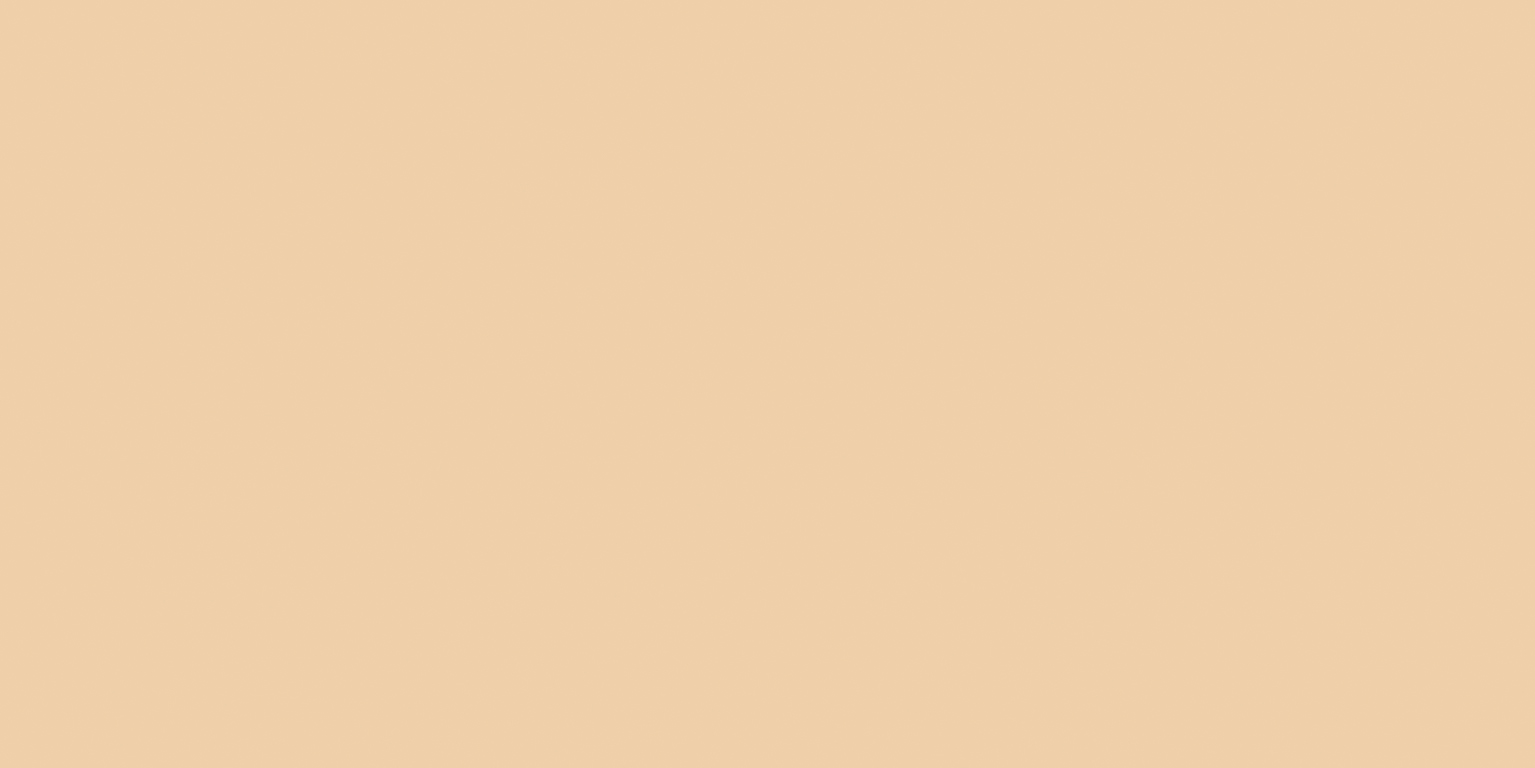 Newdeco MATT COLOUR MC-861 | hautfarbe / Karnat Newdeco Farben-Frikell WTB