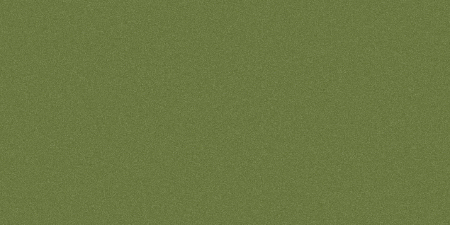 Newdeco COLOUR C-861 | hochwaldgrün Newdeco Farben-Frikell WTB