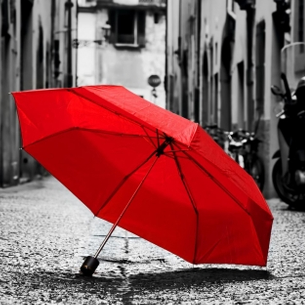 PremiumProtect ASLAN SL 17 ASLAN Farben-Frikell WTB PremiumProtect ASLAN SL 17 ASLAN Farben-Frikell WTB