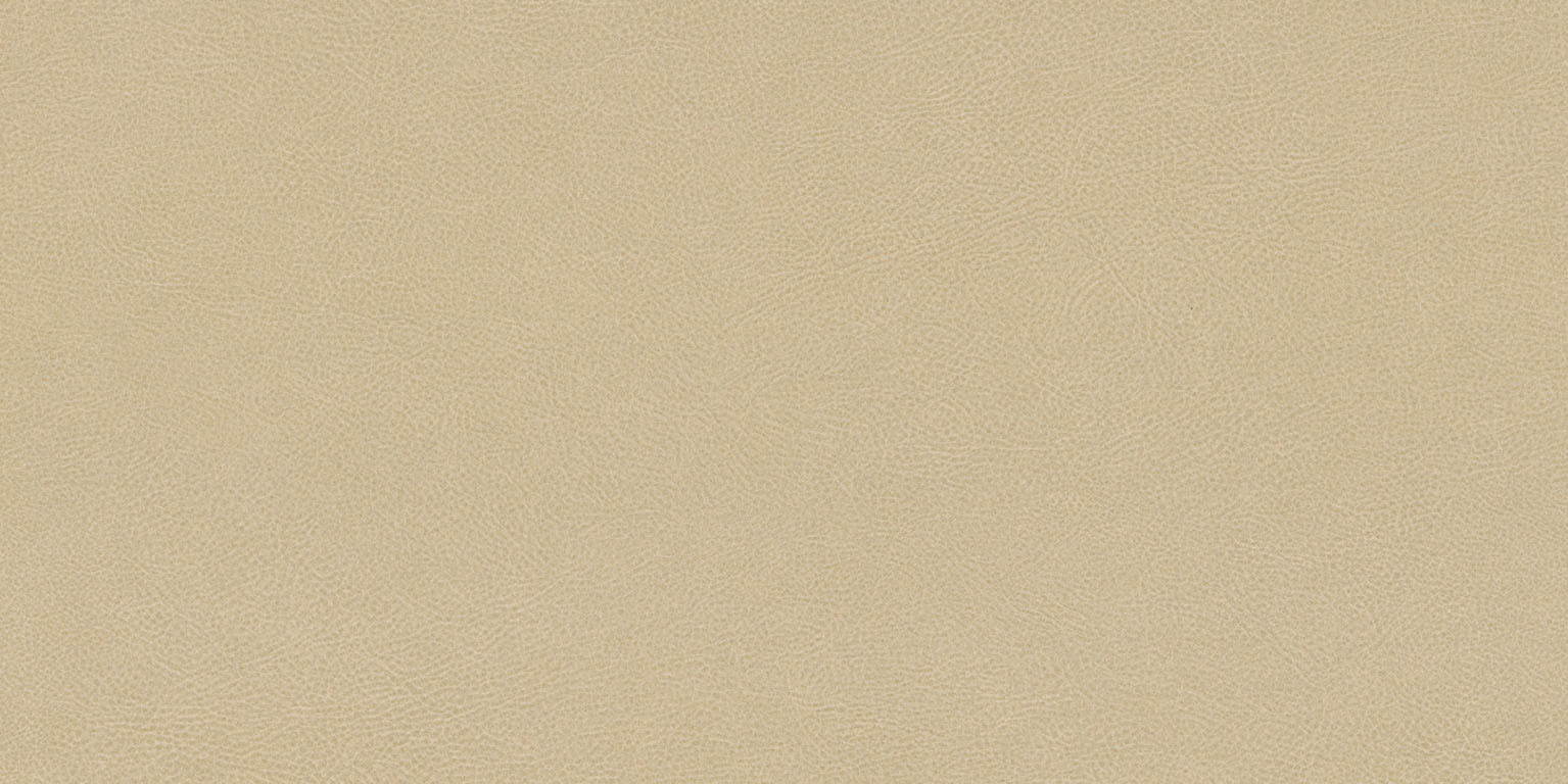 Newdeco LEATHER L-511 | Glattleder beige Newdeco Farben-Frikell WTB