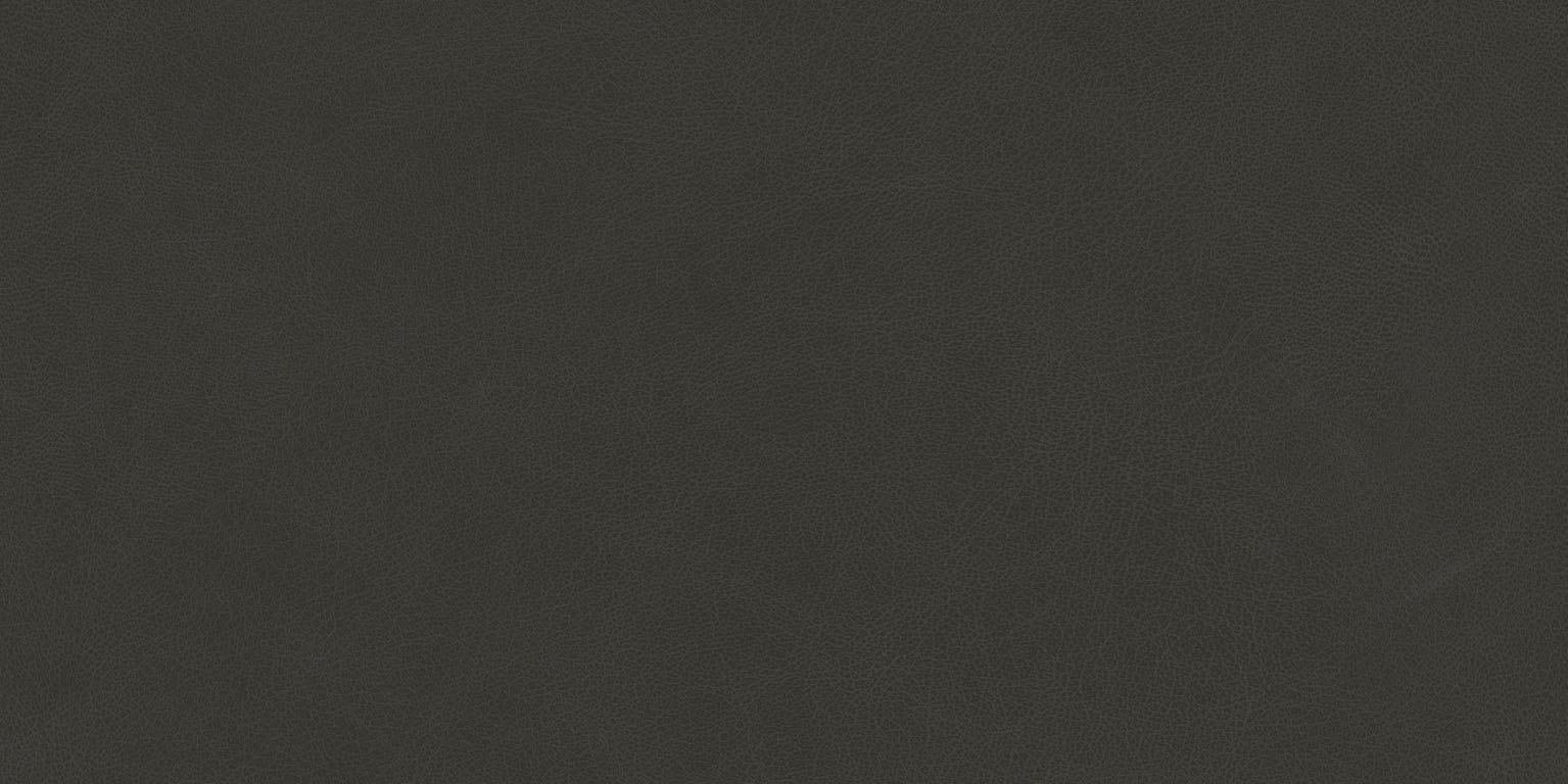 Newdeco LEATHER L-519 | dunkelbraunes Leder Newdeco Farben-Frikell WTB